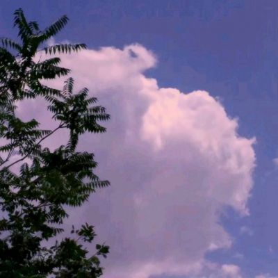 短程极速赛车无限生命游戏下载