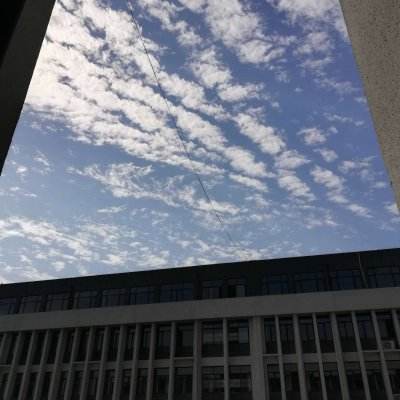 明日地平线之末日前线游戏